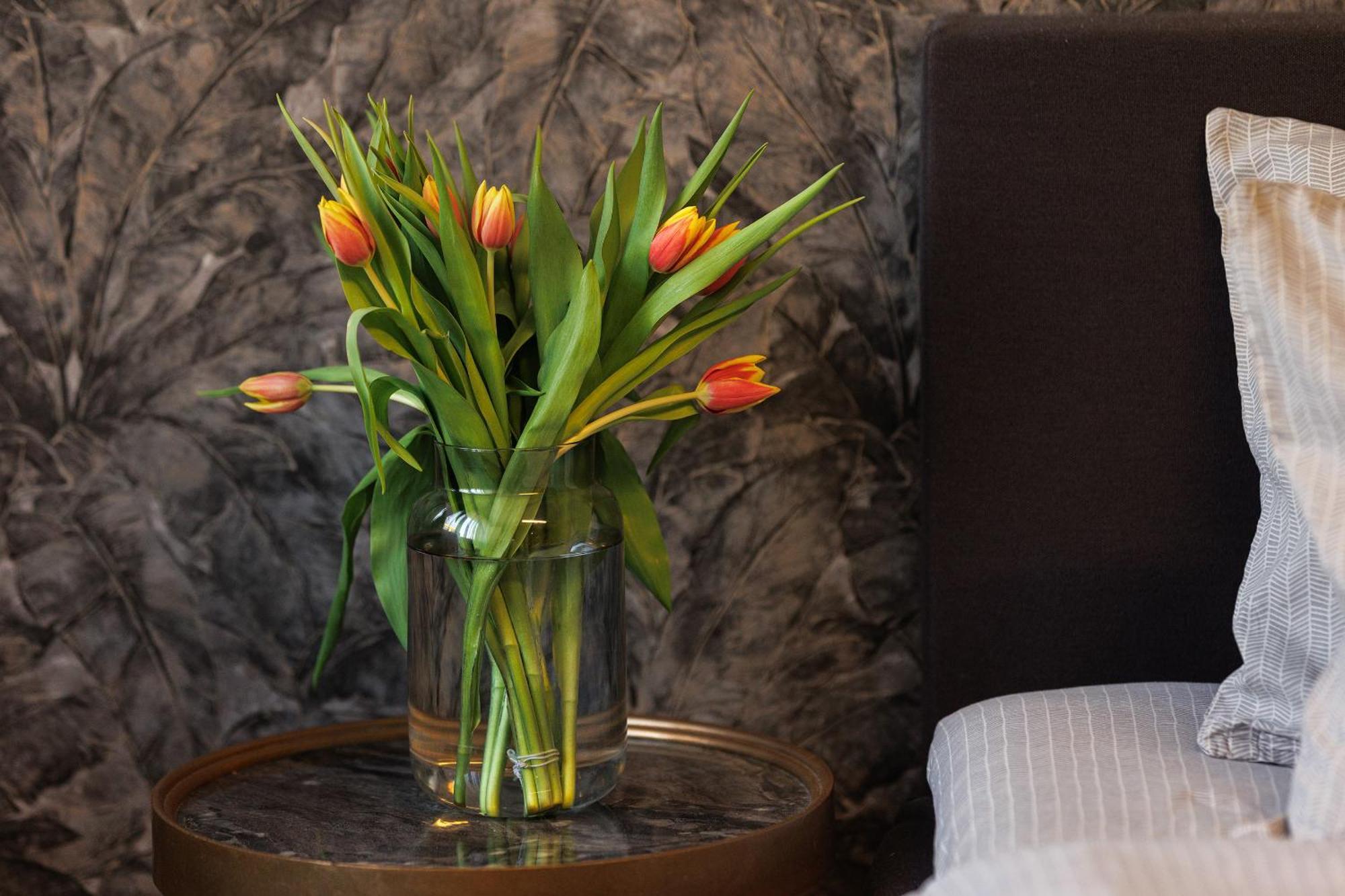 City Center Apartments With Parking Plovdiv Bagian luar foto